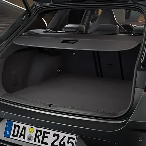 Cupra Leon Content