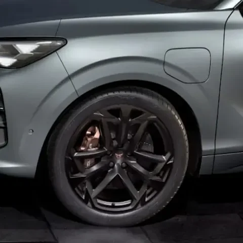 Cupra Terramar Content