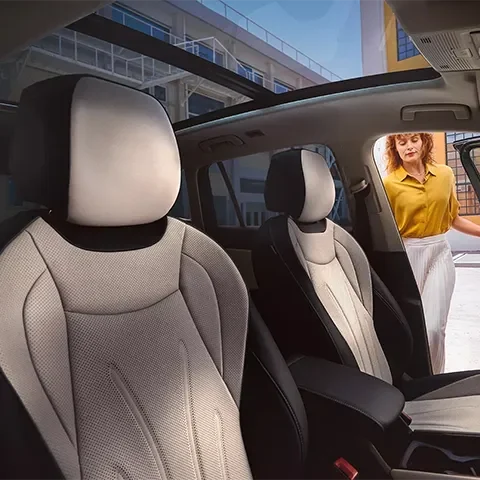 VW Tiguan content