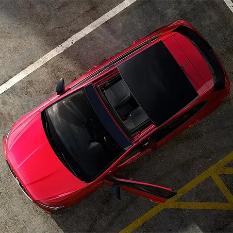 Seat ibiza 2026 section
