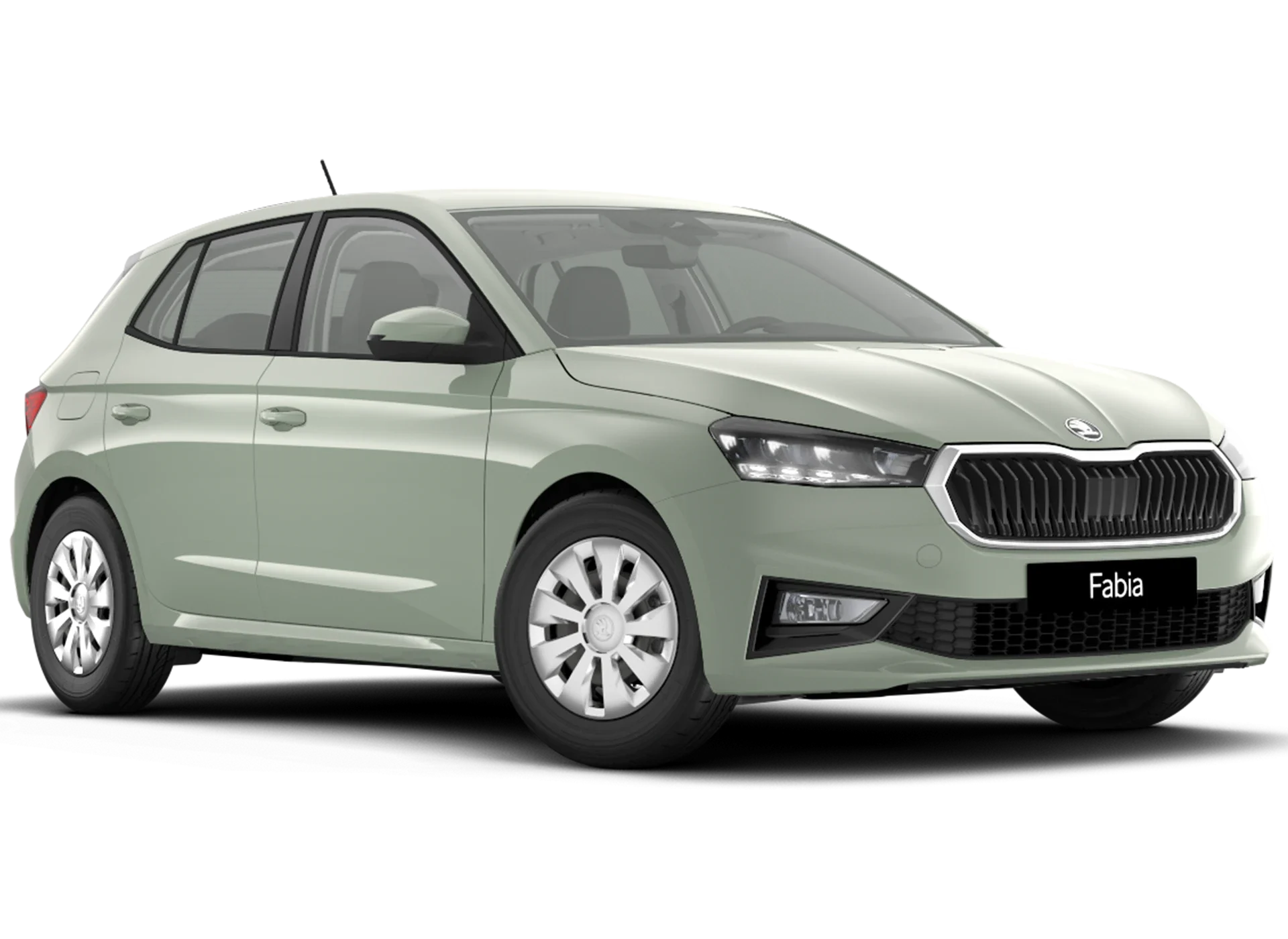 Fabia timiano grün