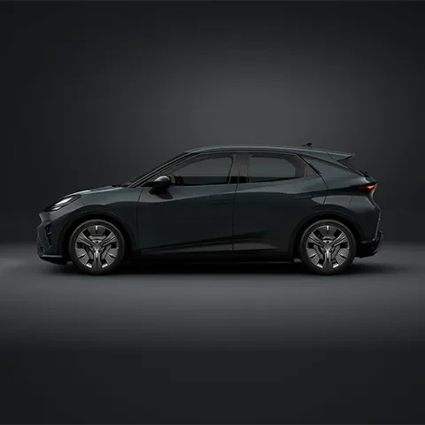 Cupra Raval Content